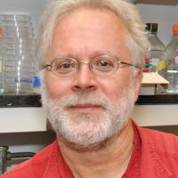 René Hen, PhD, Columbia neuroscientist